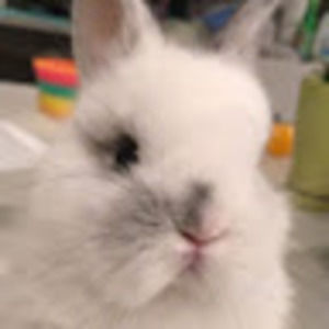 Meet your Posher, Crystal